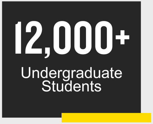 12,000+ Undergraduate Students